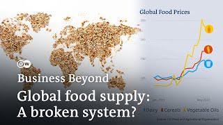 A world going hungry? How conflict and climate change disrupt global food supply | Business Beyond