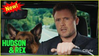 Hudson & Rex 2024 | Seeing is Deceiving | Hudson & Rex New Episodes 2024 Full HD