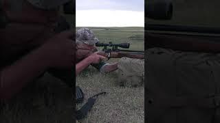 Prairie dog pest control with the Hatsan Hydra air rifle