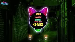 Dark Horse 越南鼓 (RinV x VAnh Remix Tiktok 2024)