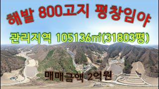 평창임야 용평면에 자리한 관리지역 임야 14필지 105136㎡(31803평) 평창부동산
