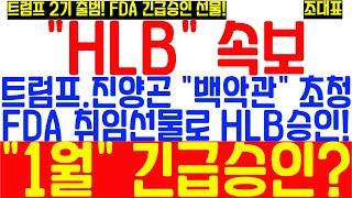 [#HLB] 진양곤 백악관 초청? 트럼프 2기 정부 FDA 규제 완화! 트럼프 취임 1호 FDA 긴급승인 확정적! 20만원 돌파여력 충분! 투자전략은?