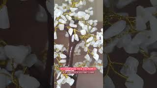 Лунный Камень Описание в комментарии ⬇️ #лунныйкамень#бонсай#aydaşı#moonstone#натуральныекамни