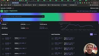 THE COH | C1:S7 | Project Presentation | Canto Explorer by Dexguru