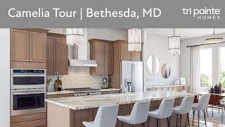 Camelia Tour at Amalyn Origin Collection | New Homes in Bethesda, MD