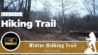 4K Forest Evening Walk in the Woods - Maryland, MD Trail