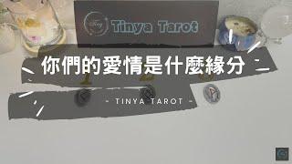 -Tinya Tarot-你們的愛情是什麼緣分無時間限制