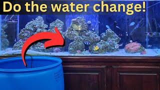 Saltwater Aquarium water change - When, How, and Why to do them!