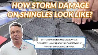 What does storm damage on shingles look like?