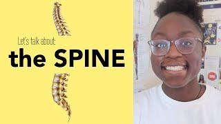 Let's Talk About: the Spine