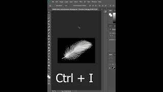 remove background in feather easy tips in photoshop#photoshop #adobesoftware #photoediting#adobetips