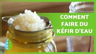 BIENFAITS du KÉFIR D'EAU  (Comment faire du KÉFIR D'EAU et comment en consommer)