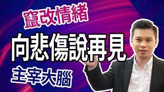 向悲傷說再見｜大腦策略改寫｜擺脫舊傷痛｜NLP小教室#77