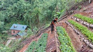 Build a terraced garden on a steep mountainside. Grow pumpkins, soybeans and radishes.