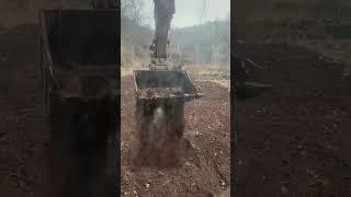 Creative bucket excavator harvesting herbal roots easy