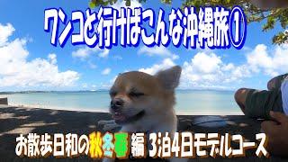 ①お散歩日和の秋冬春 編 3泊4日モデルコース／ワンコと行けばこんな沖縄【沖縄旅行】【犬】【ペット可】