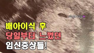 5일배양 이식 후 느꼈던 임신증상![시험관 이식 1차 성공]