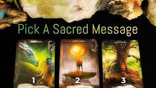 Sacred Messages For Right Now | Pick-A-Card