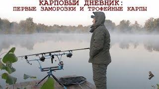 Секреты рыбалки на карпа: холодная вода. Расположение оснасток, тактика ловли и прикармливания