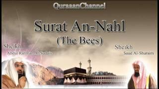 16- Surat An-Nahl (Full) with audio english translation Sheikh Sudais & Shuraim