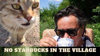 The Cats That Like  Drinking Coffee