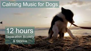 CALMING music for dogs during fireworks and storms - 12 hours of dog music - Relaxes & Soothes