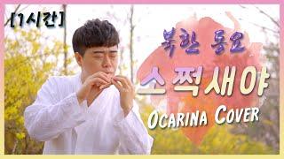 [1시간] 소쩍새야 (북한뮤지컬 피바다 OST) - 김정우 오카리나 연주 연속재생 | Ocarina ASMR | 陶笛 | オカリナ