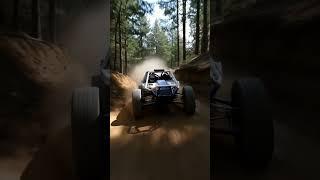Unleash the Thrill: Rally Buggy Madness #shorts