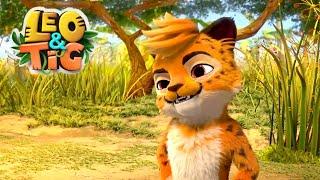 Leo and Tig    Pango the Magnificent  Best episodes    Funny Family Animated Cartoon for Kids