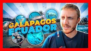 Galapagos Worth $2000 For Just 7 Days?