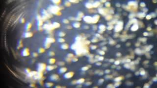 Micron Gold 60 Times Magnification