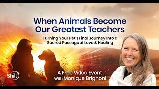 When Animals Become Our Greatest Teachers | Monique Brignoni