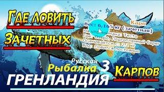 Русская Рыбалка 3:Гренландия #3 гайд как и где ловить зачетных Карпов 6кг