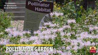 Pollinator Garden