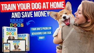  BRAIN TRAINING FOR DOGS REVIEW┃Watch This Before Buying 