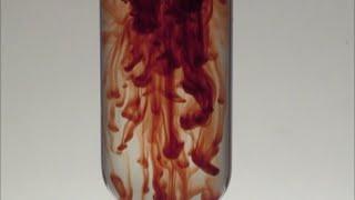 Chemistry experiment 40 - Bleeding iron