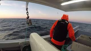 Fishing 4K #live #lobster