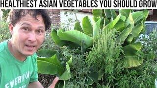 Healthiest & Easiest Asian Vegetables You Should Grow at Home Tour