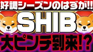 【SHIB（シバイヌコイン）が大ピンチ⁉】10月から好調シーズンだが‼悪いニュースも‼今後の価格について徹底解説‼【仮想通貨】