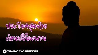 ประโยคสุดท้ายก่อนปรินิพพาน- ขยายความหัวใจแห่งธรรมทั้งปวง | Thanajayo Bhikkhu | 19 September 2024