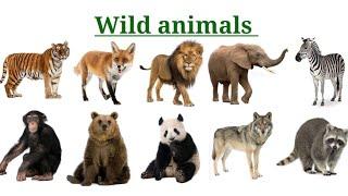 Wild animals names in English, English to Telugu wild animals names,English to Telugu tutorials.