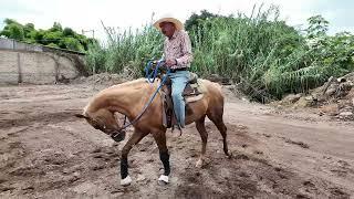 DON RAMÓN Y CROMADA en su sesión de trabajo completa