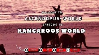 Episode 13: Creatures of Earth  I Kangaroo World I @Ascendopus-World