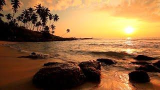 Beautiful Beach Sunset with Ocean Waves Crashing Over Rocks | Relaxing Nature Ambience