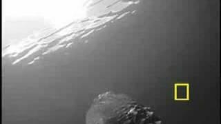 Snippy the snapping turtle films Shenipsit Lake