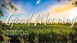 ️ Rise and Shine with Good Morning Vibes: Feel-Good Music  for Positive Energy and Good Vibes 