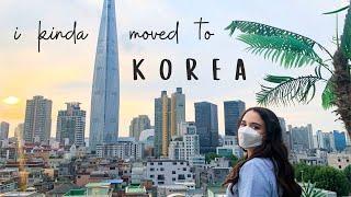  i quit my big girl job to learn korean  (no, seriously)