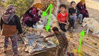 Plastering a wooden hut: and building a shed for a new family member2025