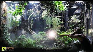 I Discovered a Surprise Birth in My Giant Rainforest Vivarium