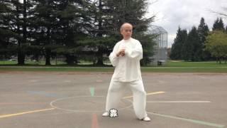 13式太極拳正向慢動作 (2015.03.27) 13 Form Tai Chi Slow moving (Front View)